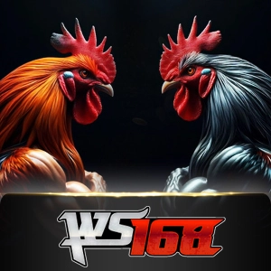 ws168 - Placebet138