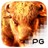 RTP pgsoft Placebet138